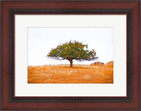 Framed Lone Tree Print