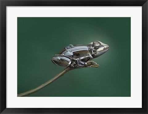 Framed Frog Print