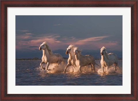 Framed Angels Of Camargue 1 Print