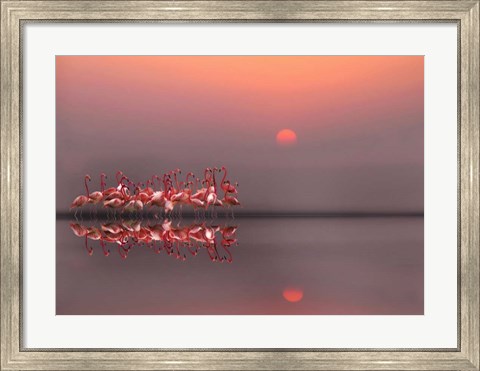 Framed Purple Sunset Print