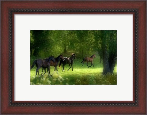 Framed Running Horses Print