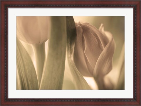 Framed Tulips Print