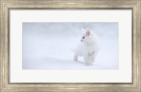 Framed White As Snow Print