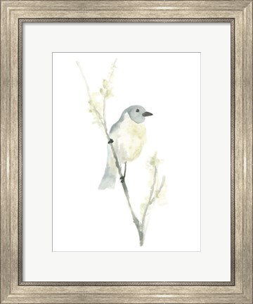 Framed Avian Impressions III Print