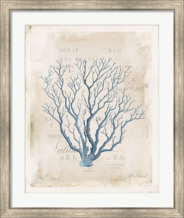 Framed Sea Garden V Print