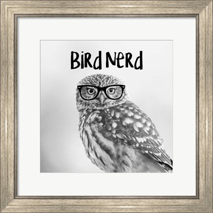 Framed Bird Nerd - Owl Print