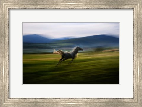 Framed Alone Print