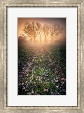 Framed Misty Morning Print