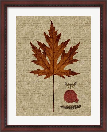 Framed Autumn Leaf I Print