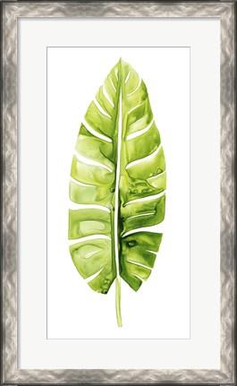 Framed Banana Leaf Study II Print