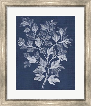 Framed Foliage Chintz I Print