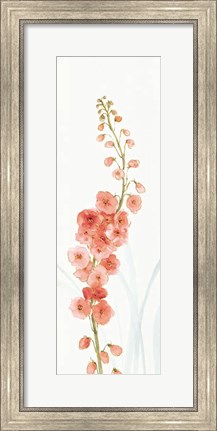 Framed Rainbow Seeds Flowers VII Coral Print