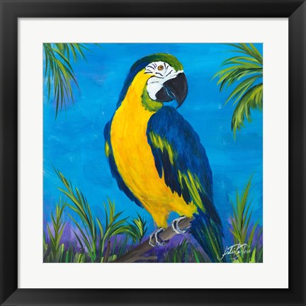 Framed Island Birds Square II Print