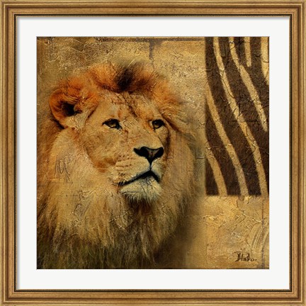 Framed Elegant Safari II (Lion) Print