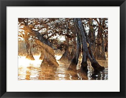 Framed Cypress Creek II Print