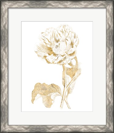 Framed Gilded Botanical VII Print