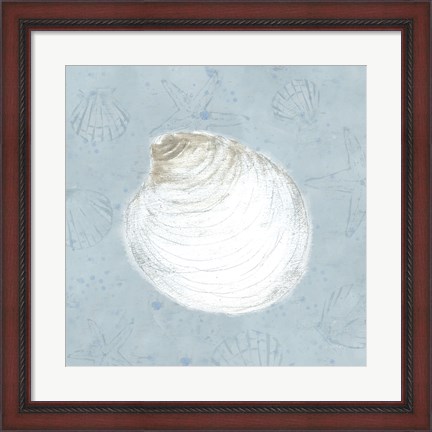 Framed Serene Shells IV Print