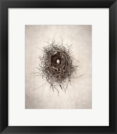 Framed Nest I Print