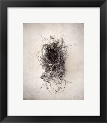 Framed Nest II Print