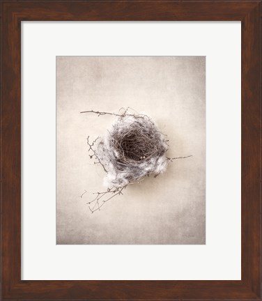 Framed Nest III Print