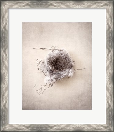 Framed Nest III Print