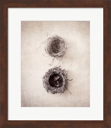 Framed Nest IV Print