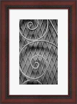 Framed French Quarter Ironwork III Print