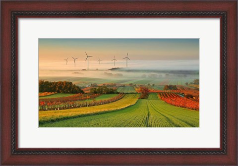 Framed Autumn Atmosphere In Vineyards Print