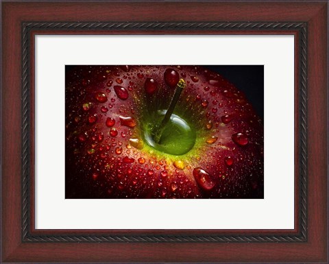 Framed Red Apple Print