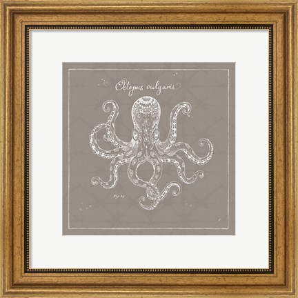 Framed Underwater Life XI Greige Print