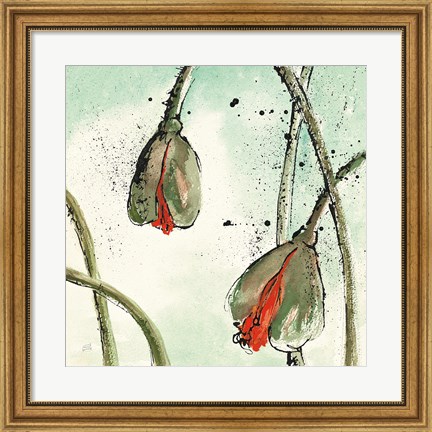 Framed Not a California Poppy II Print