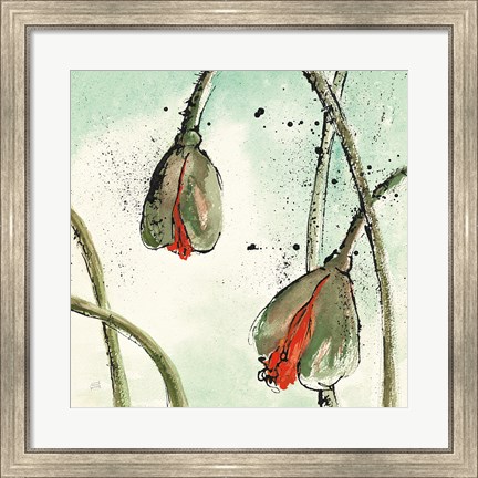 Framed Not a California Poppy II Print