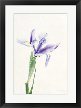 Framed Light and Bright Floral IV Print