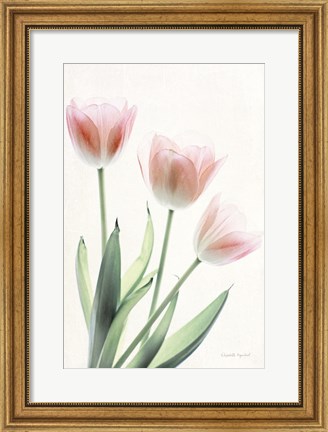 Framed Light and Bright Floral II Print