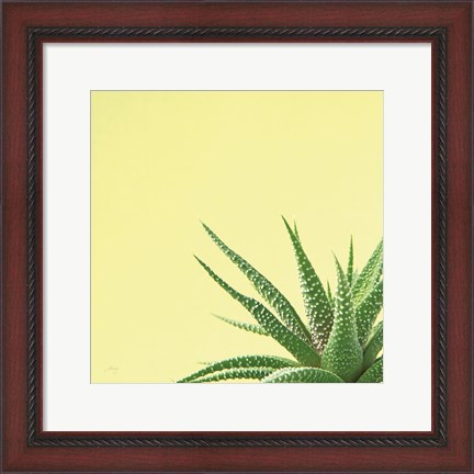 Framed Succulent Simplicity II Print