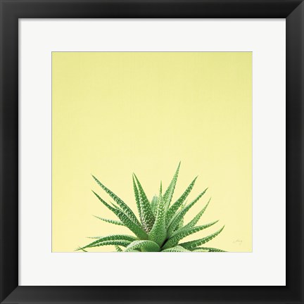 Framed Succulent Simplicity I Print