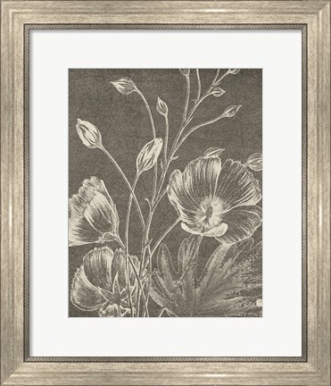 Framed Botanical Beauty Chalk IX Crop Print