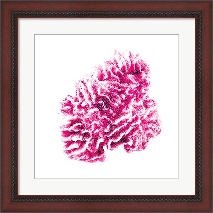 Framed Pink Sea Print