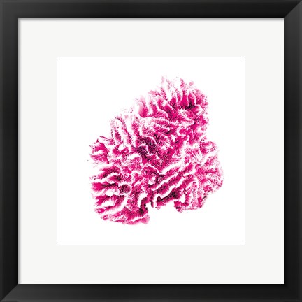 Framed Pink Sea Print