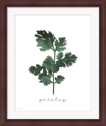 Framed Parsley Print