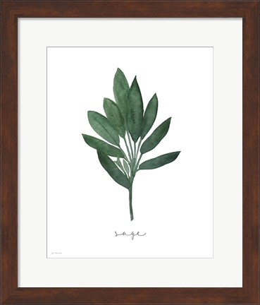 Framed Sage Botanical Print