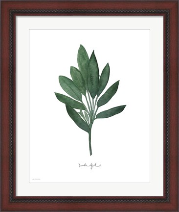 Framed Sage Botanical Print