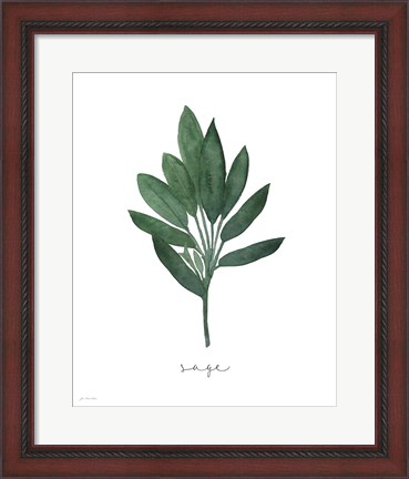 Framed Sage Botanical Print