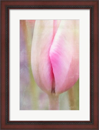Framed Spring Beauty III Print