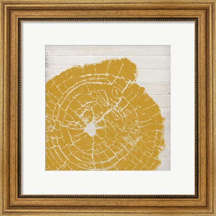 Framed Tree Rings I Print