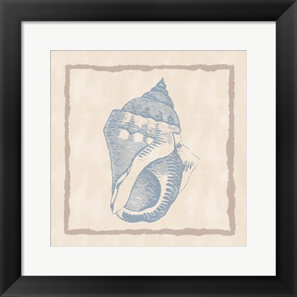 Framed Shell II Print