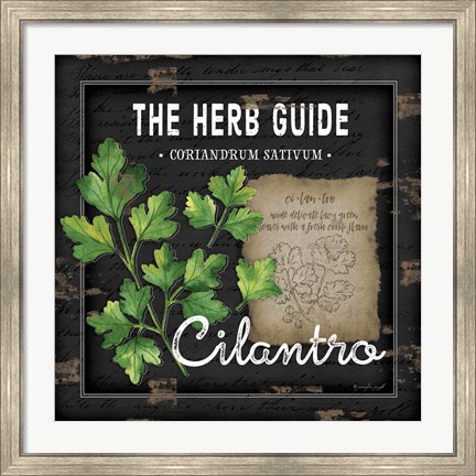 Framed Herb Guide Cilantro Print