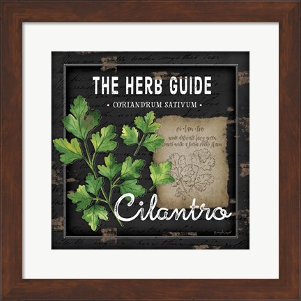 Framed Herb Guide Cilantro Print