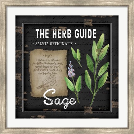 Framed Herb Guide Sage Print