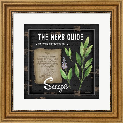 Framed Herb Guide Sage Print